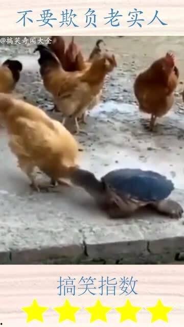 不要欺负老实人（我不是好欺负的）,勇敢拒绝欺凌，捍卫老实人的尊严