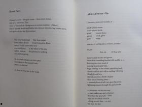 危险卧底（英语版）,Unmasking the Undercover: A Thrilling Overview of 'The Dangerous卧底'